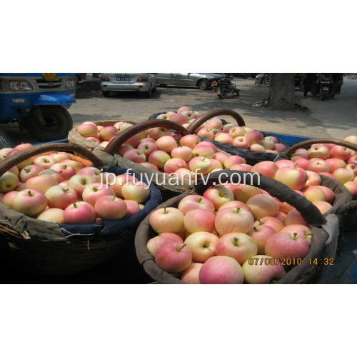中国の新鮮なガラ・リンゴ